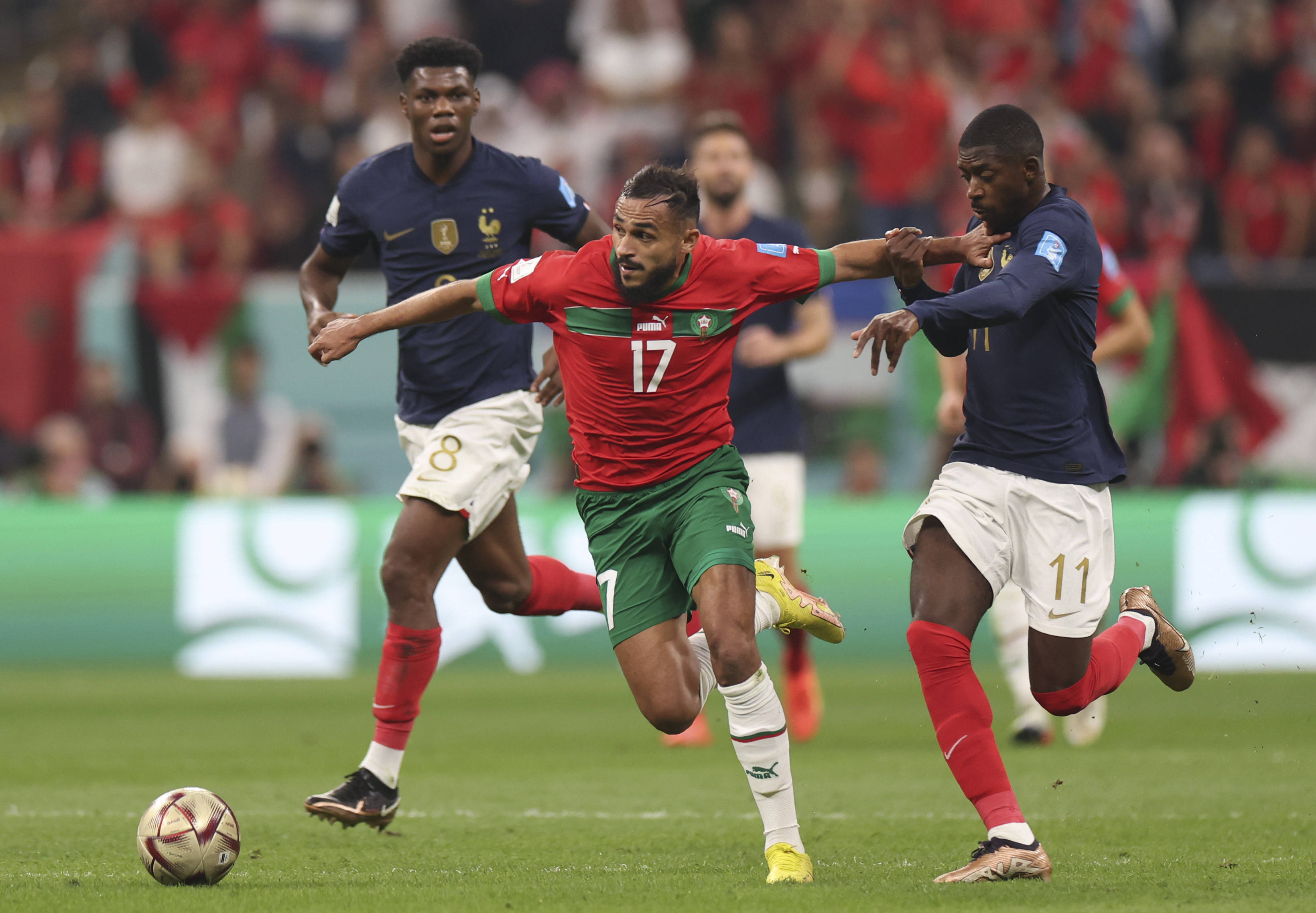 来自意甲劲 来自意甲劲