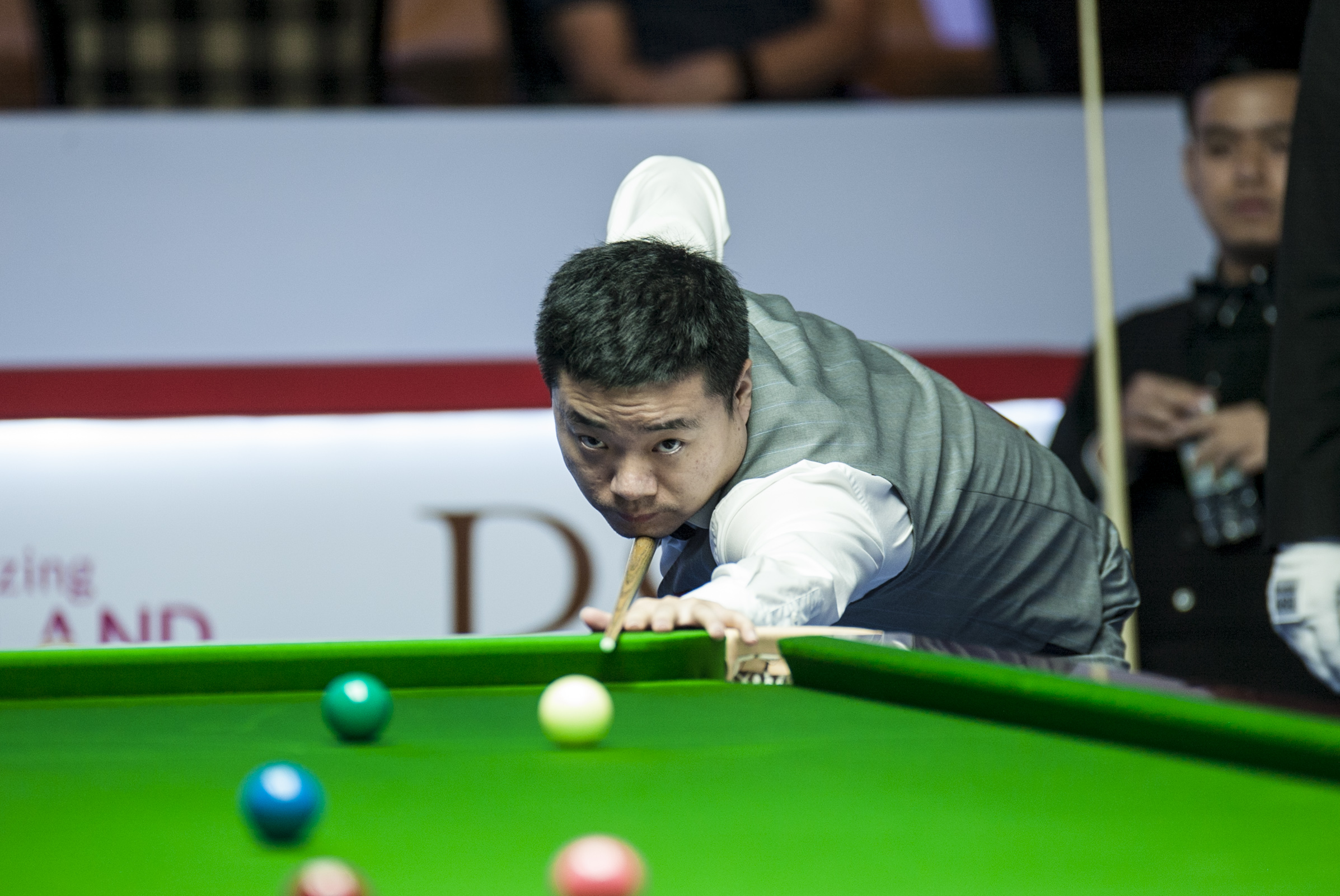 纳尔替代者 纳尔替代者