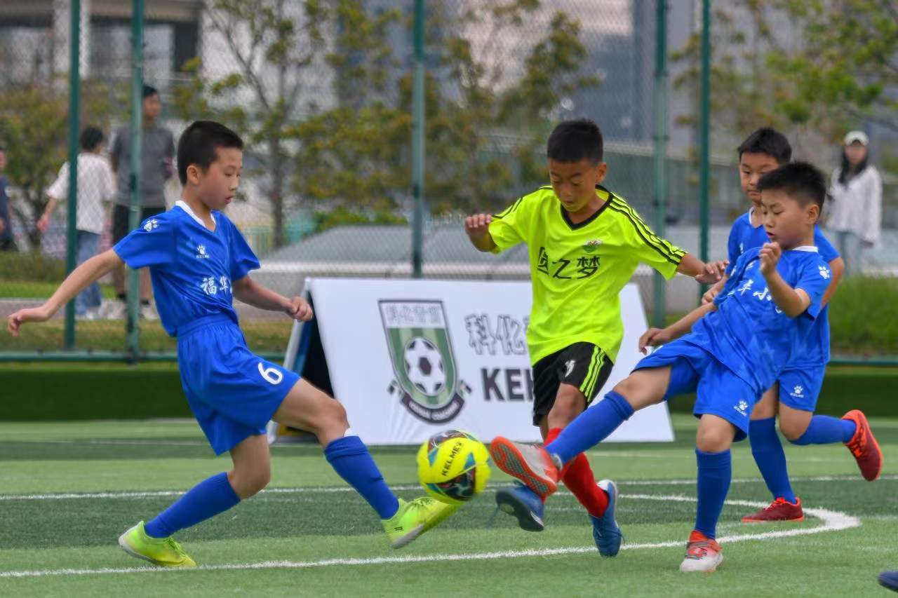 欧洲杯的悬 欧洲杯的悬